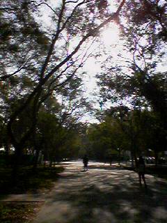 060901morning.jpg